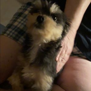 Meet your Posher, Debbie